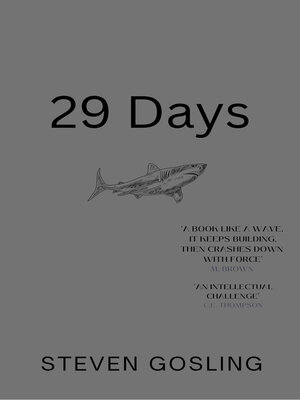 cover image of 29 Days